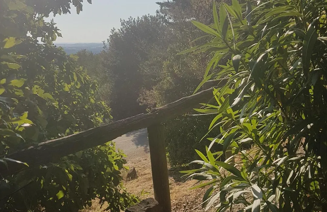 La Maison sur la Colline-1