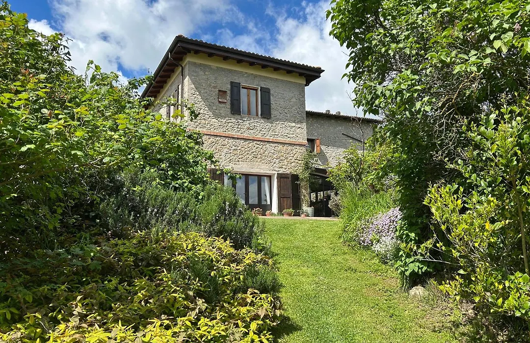 Lumi-House-1