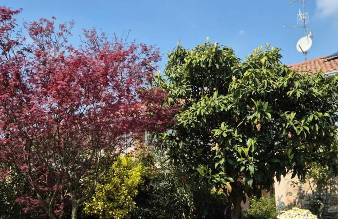 Cascina San Martino-1