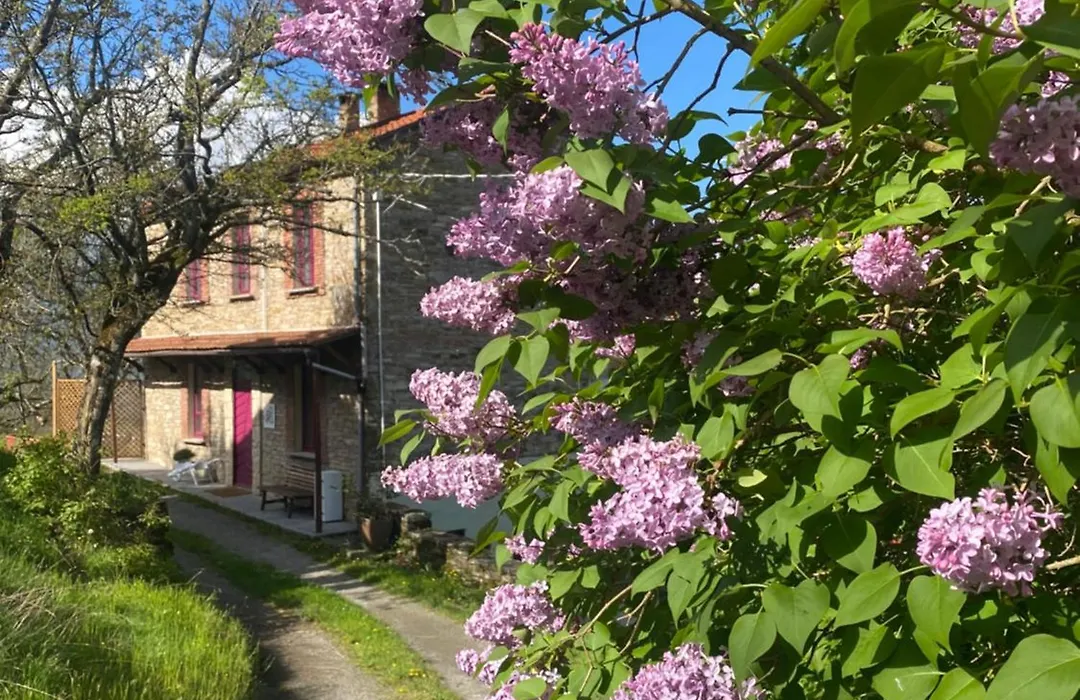La Lupa E L'Orso B&B-1