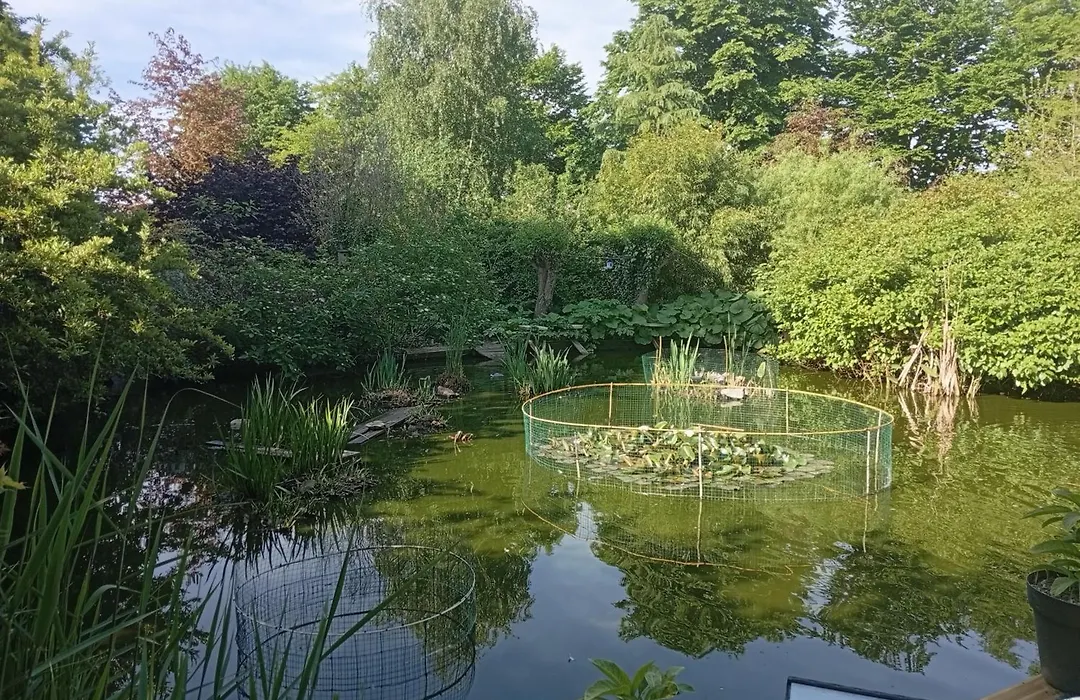 chambres d'hôtes naturistes de la moque souris-1