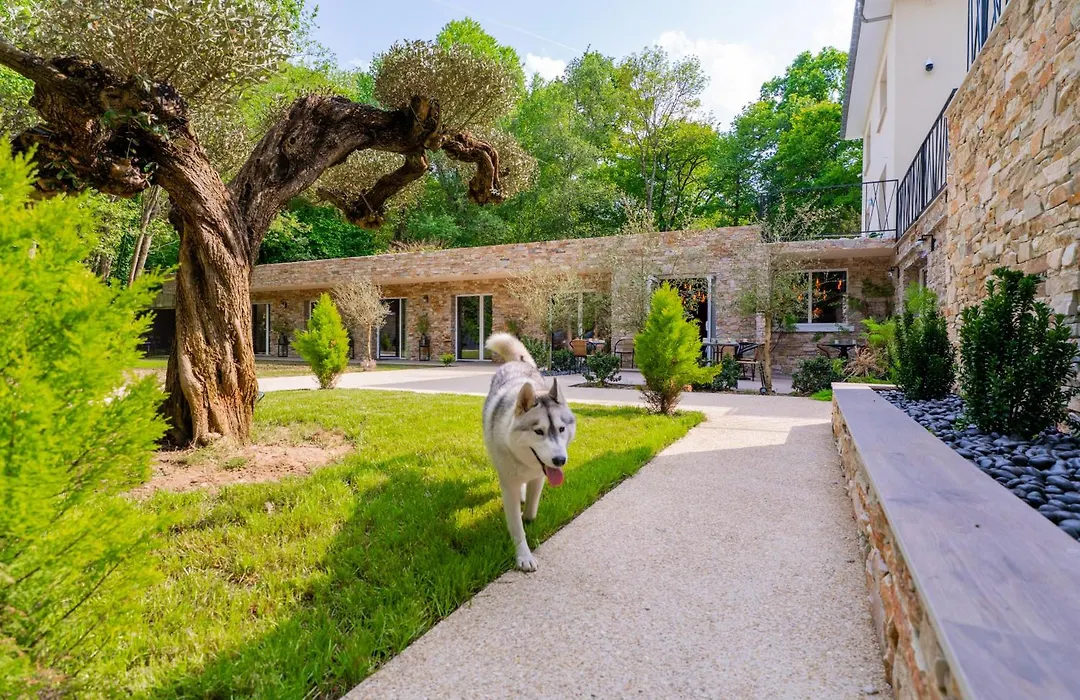 Le Chanelya - Havre de Paix au Coeur de la Forêt-1