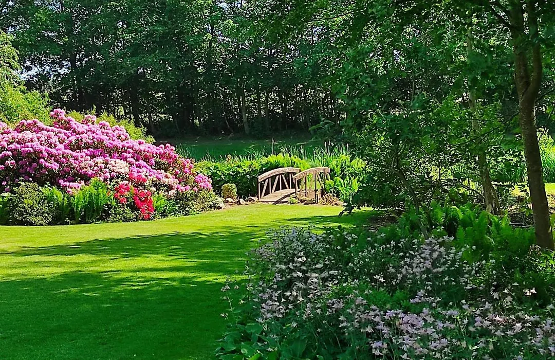 Emily'S Garden-1