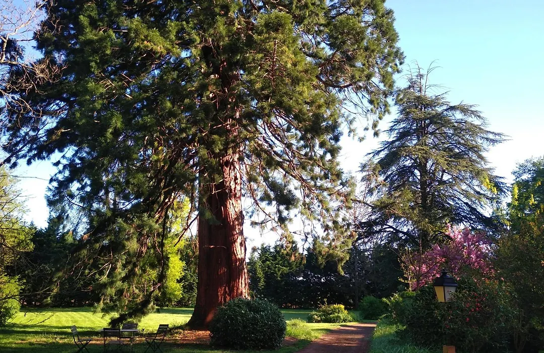 Château de la Vernède, la Grande Vernède-1