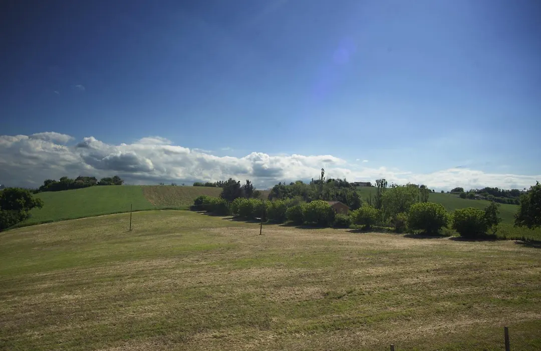 B&B Hill Ranch-1