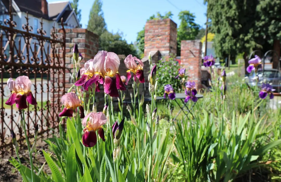 Adams Pragge House - Victorian Bed & Breakfast-1