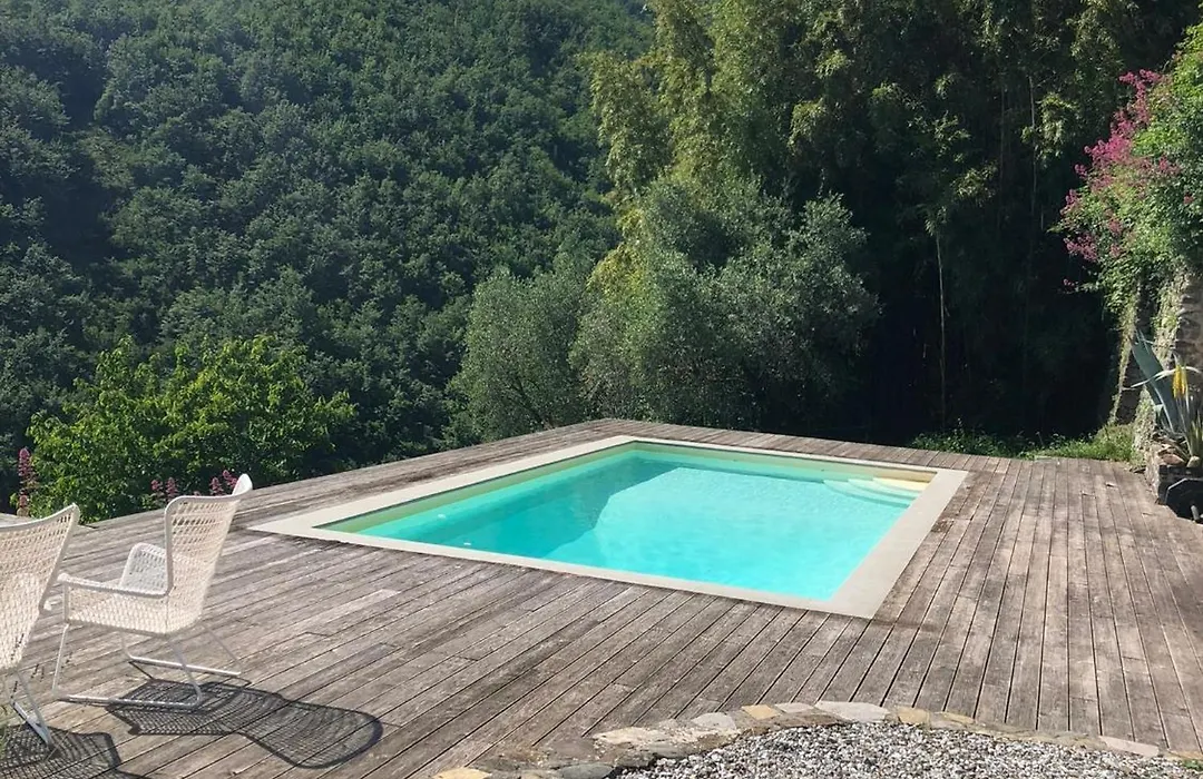 Encanto Di Arlia-1