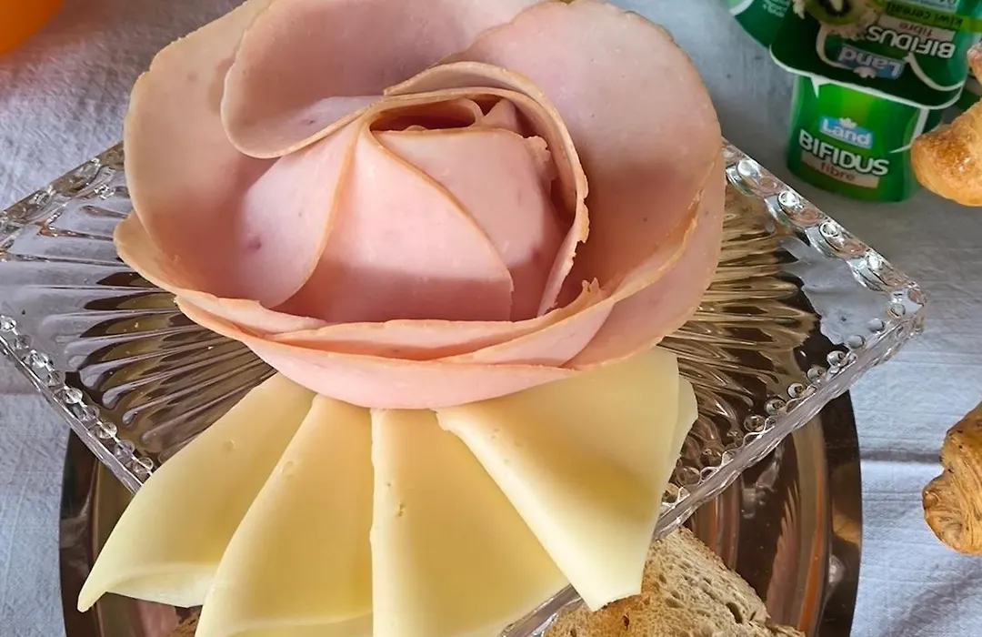 Le piante di casa SaMar-1