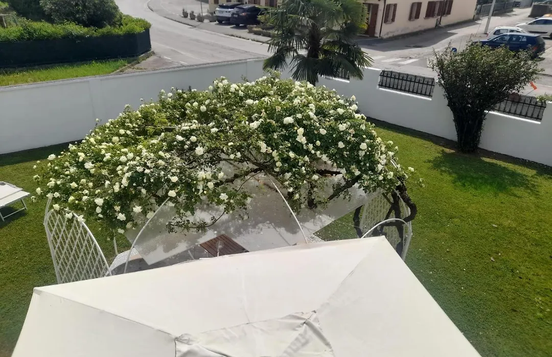 B&B Villa Griselda-1