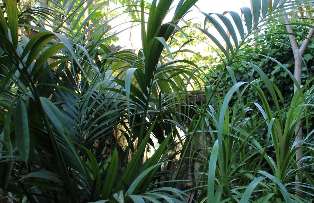 Il Giardino di Chiara-1