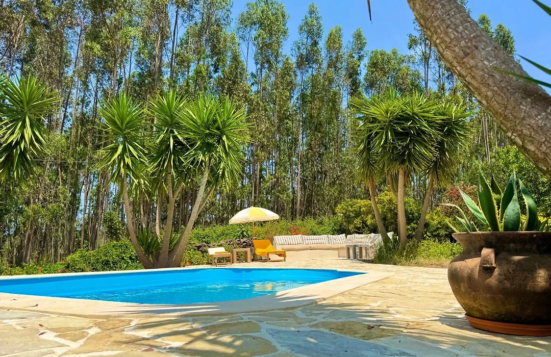 Wellbeing guesthouse Casa é Connosco-1