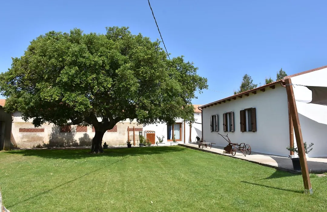 Il Vecchio Casale B&B-1