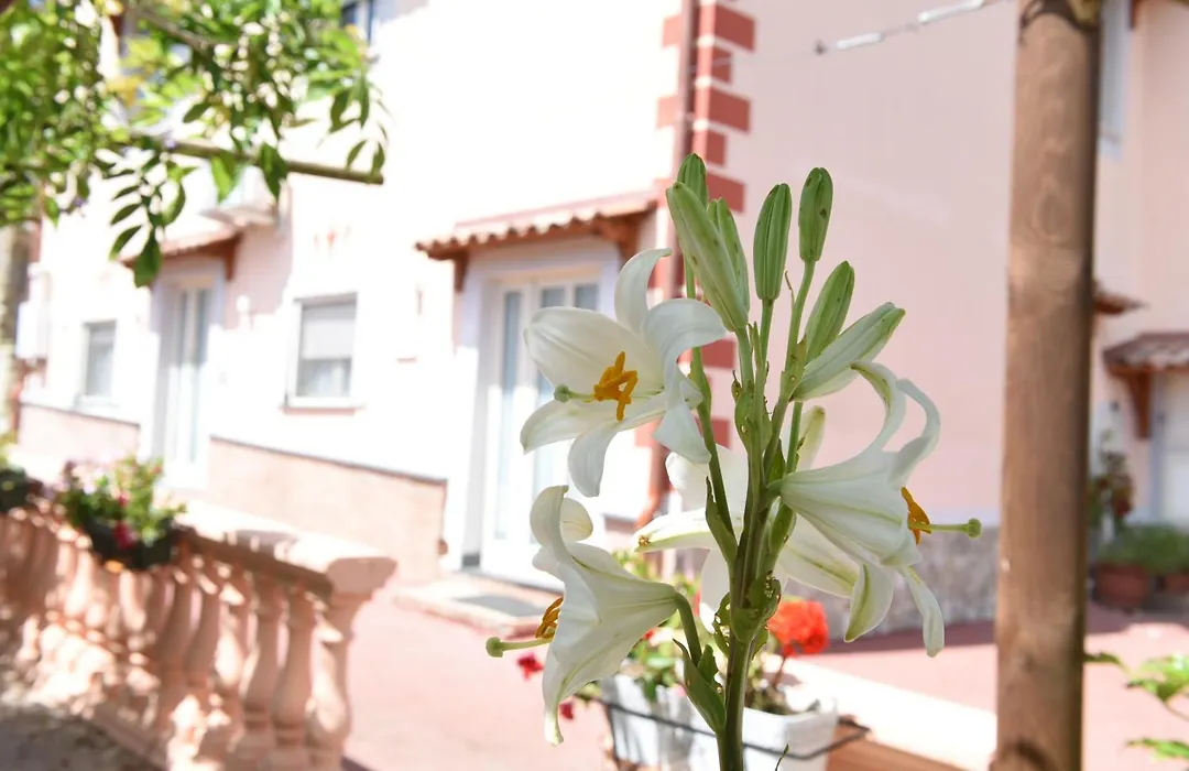 La Casa Dei Desideri-1