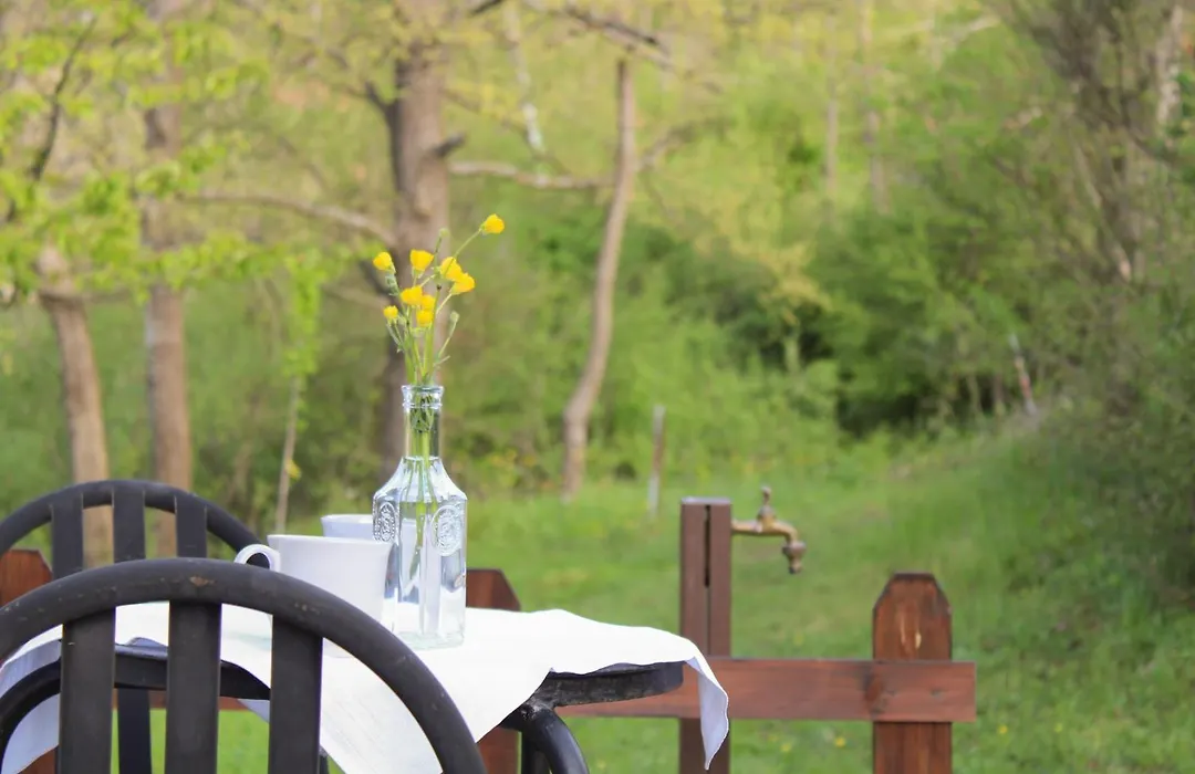 Oak Tree Ranch-1