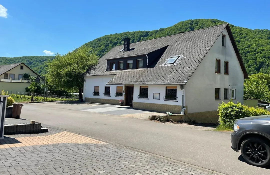 Weingut und Pension Markus Kochems-1