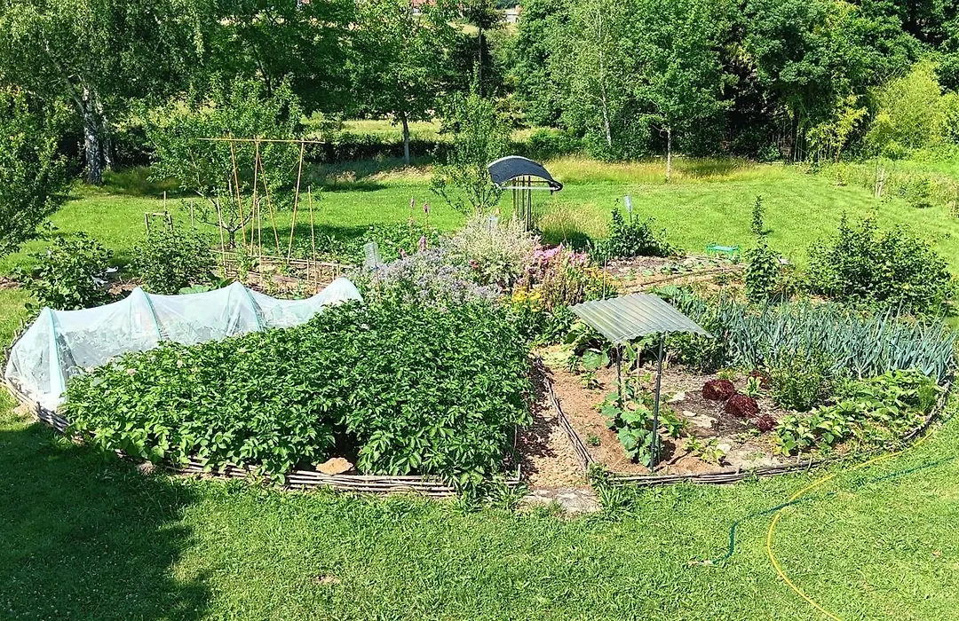 Domaine de la cure-1