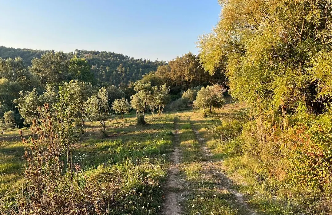 Terra del sorriso-1