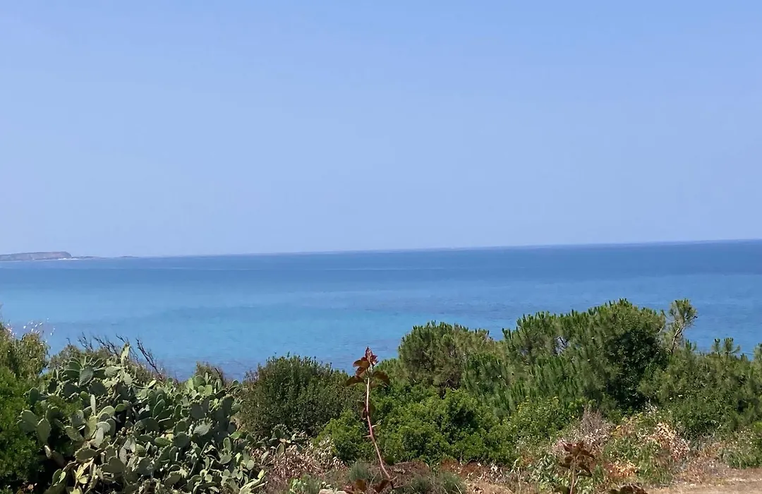 Torre Del Pozzo-1