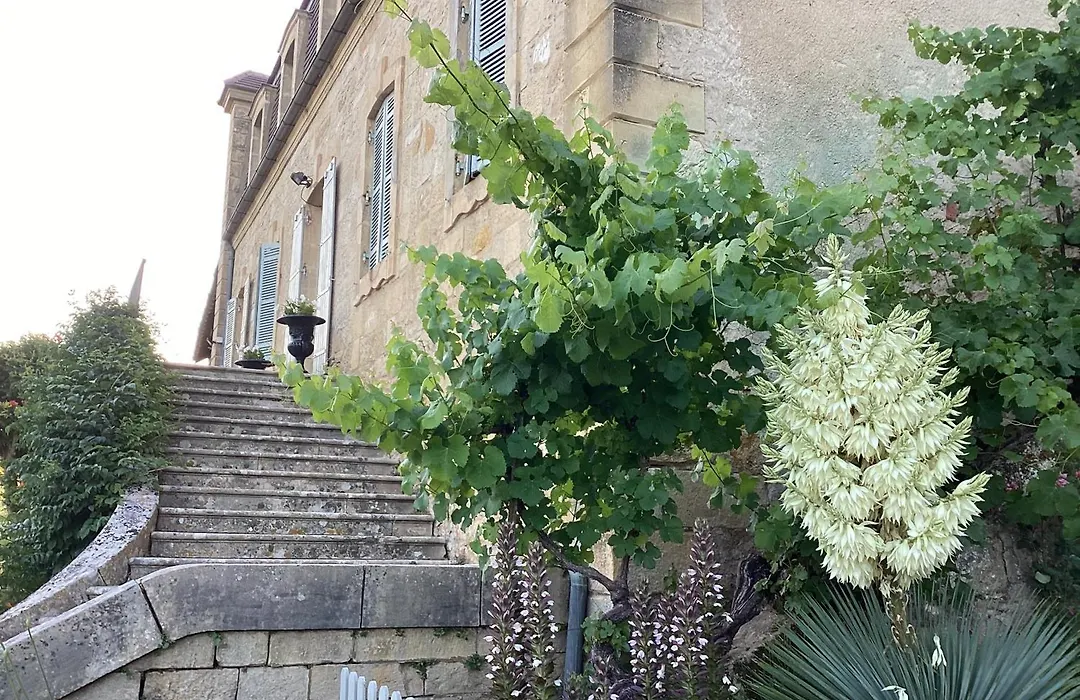 Le clos de l’Âne Dentelle-1