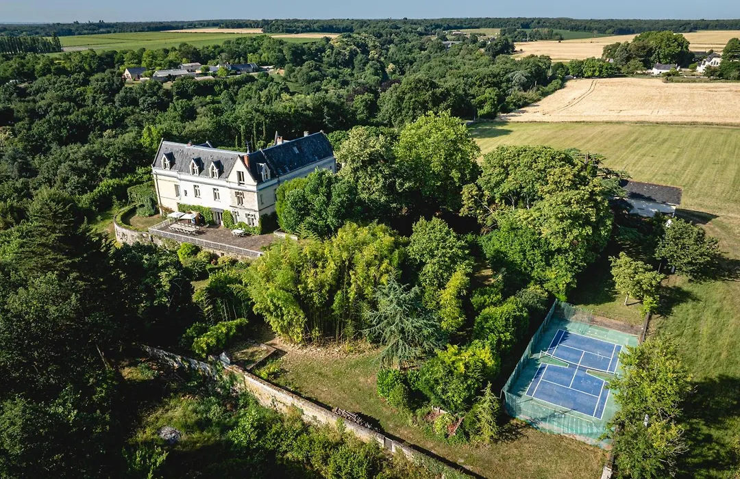 Chateau avec une vue sur la Loire-1