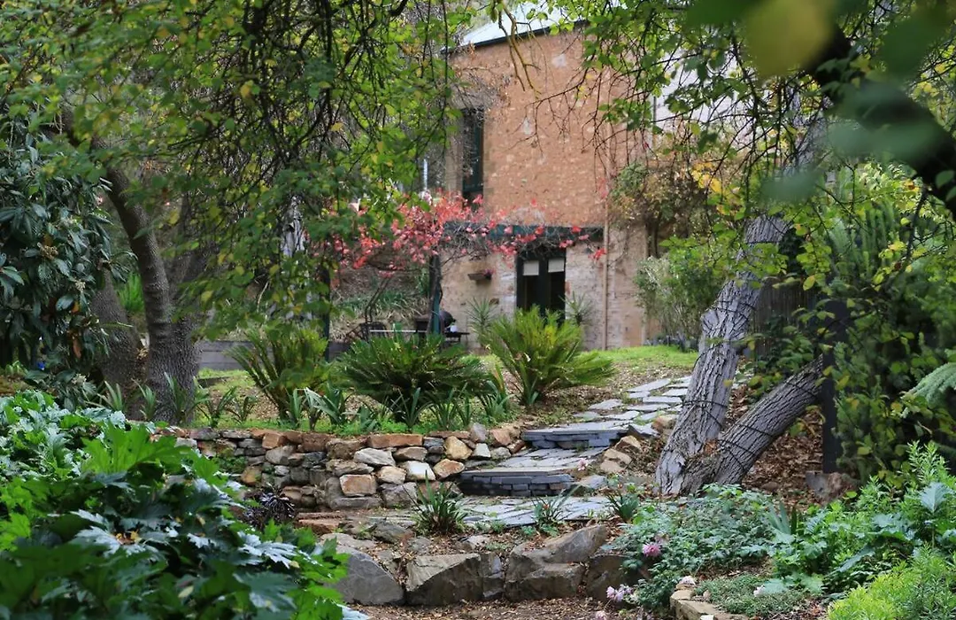 Wild Olive Cottage Clare Valley-1