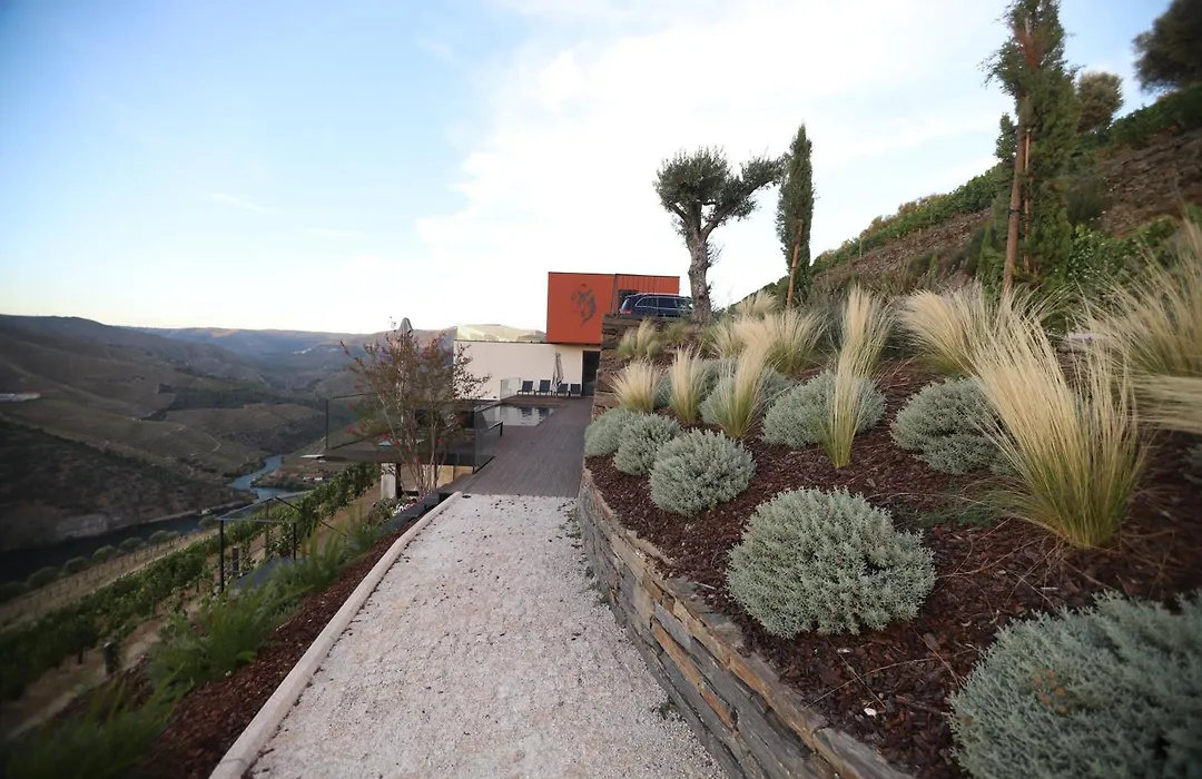 Quinta Vale De Lobos-1