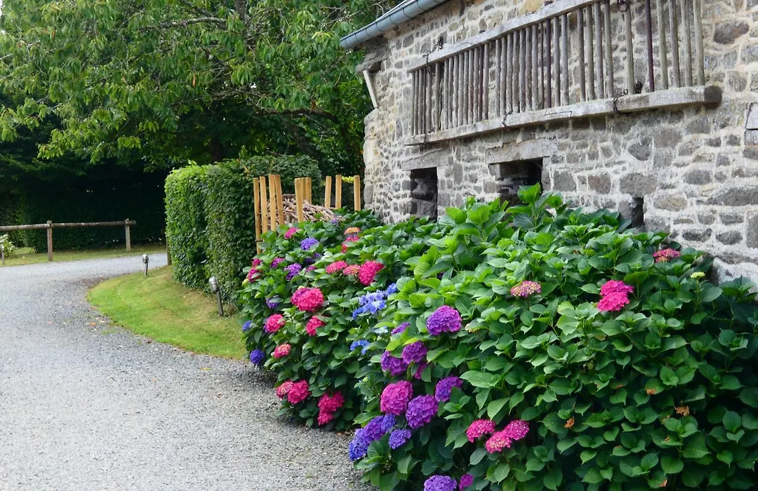 Gîte de la Cour-1