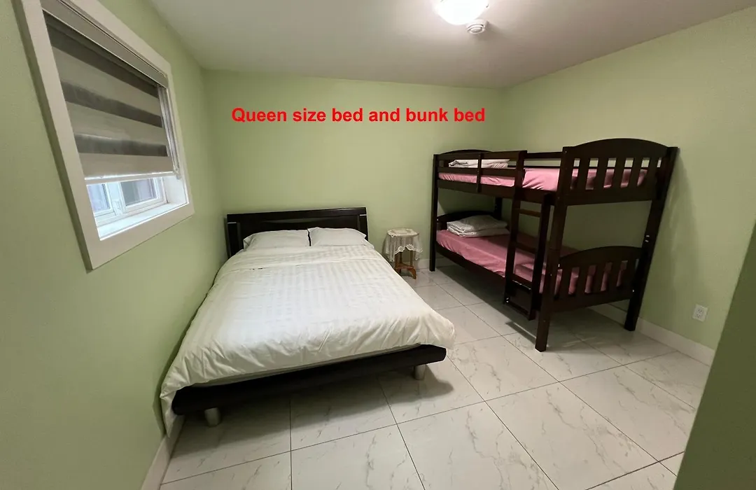 Newton Suite-1