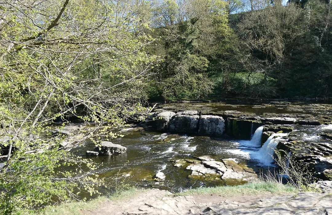 Ellerton Lodge Bed And Breakfast Swaledale-1
