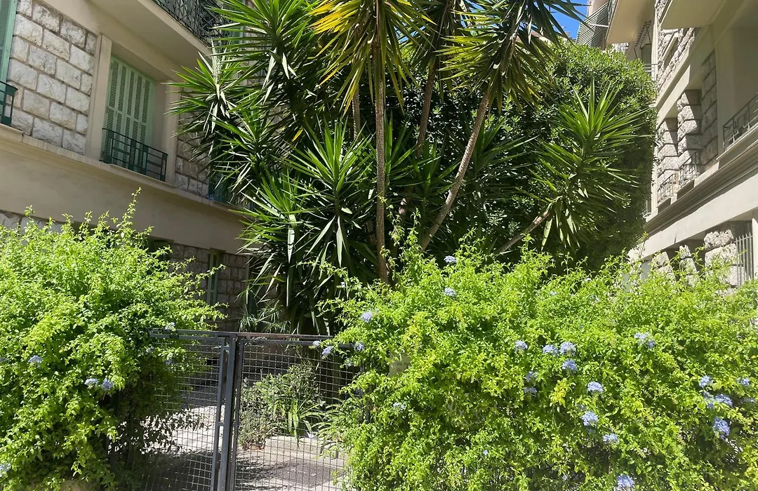Cocon cosy cœur de Nice mer 5 minutes-1