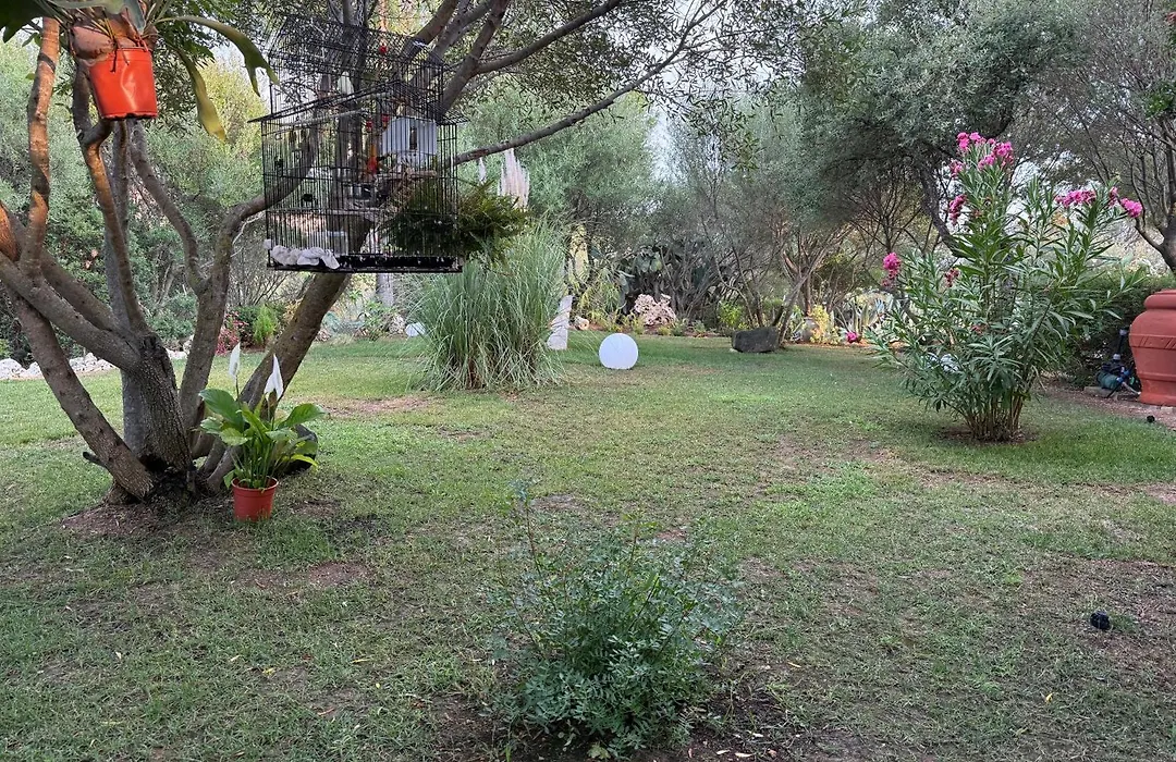 Villa DESIDERIA B&B-1