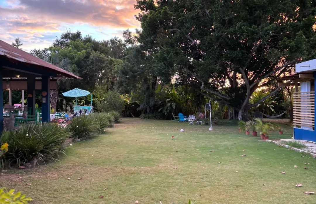 Campito Loving-1
