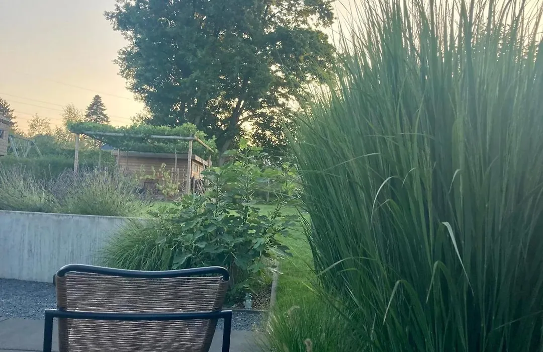 B&B La Miniera-1