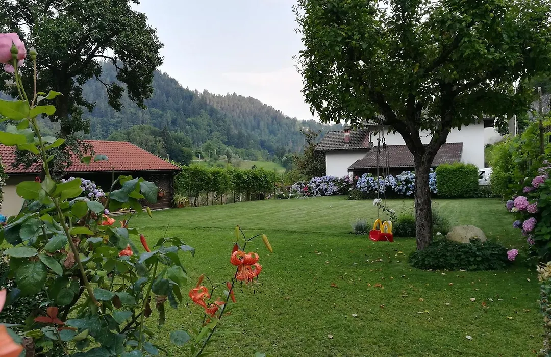 B&B Oltra-1