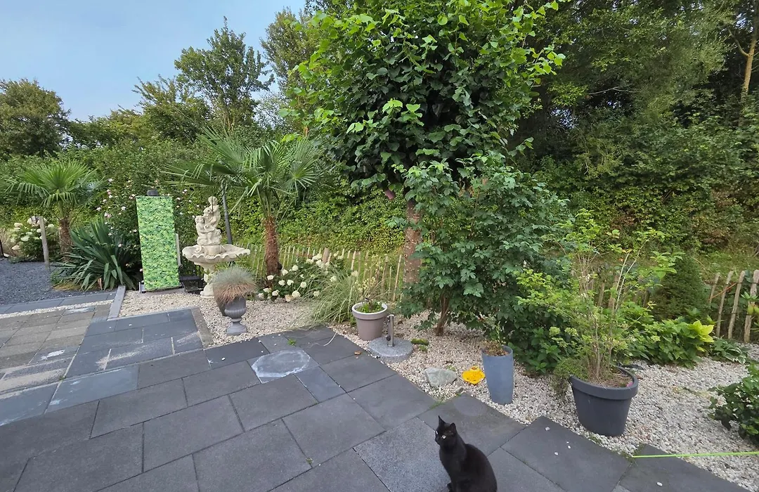 B&B Mooi Betuwe-1