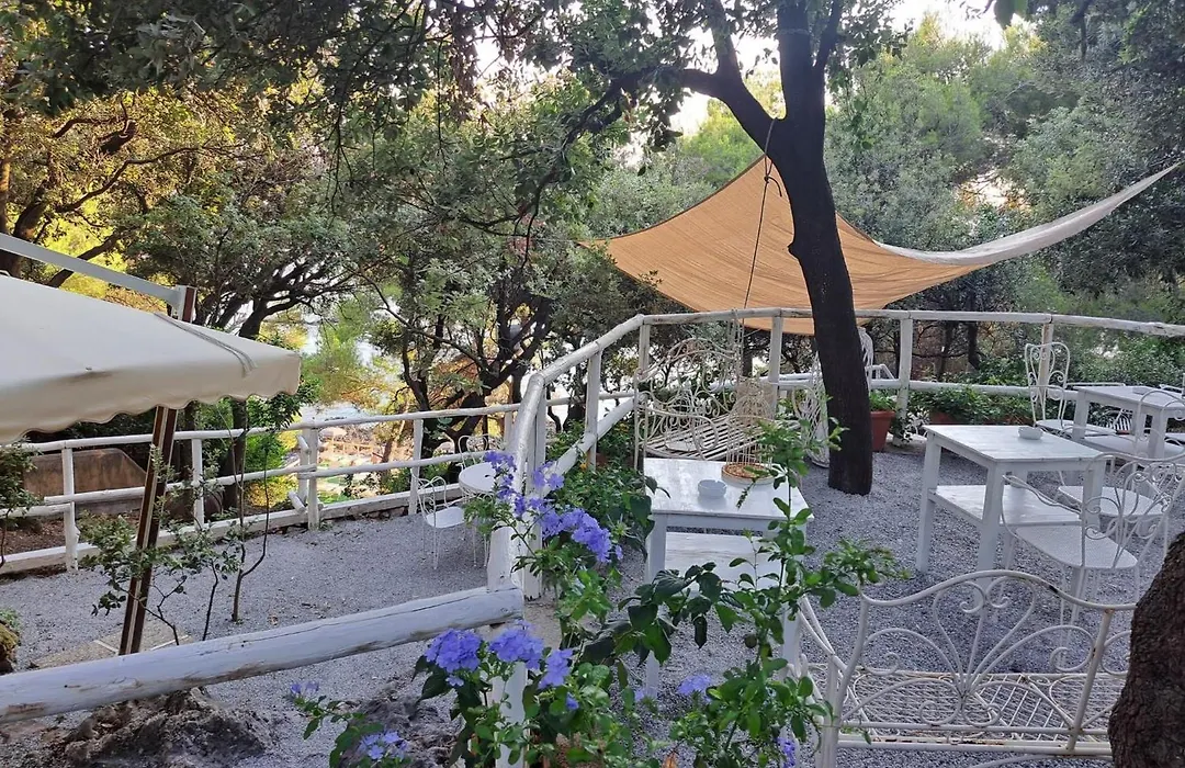Bed And Breakfast Tenuta Palmieri Only Adult-1