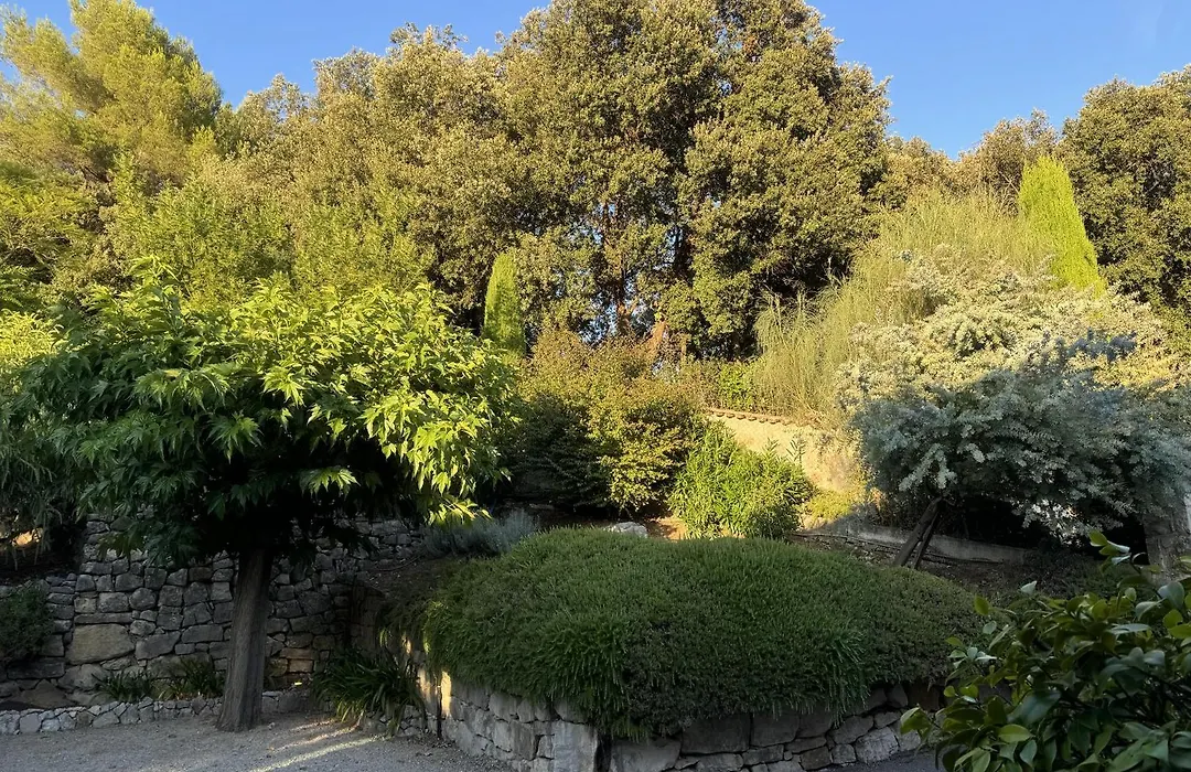 Domaine Picasso-1