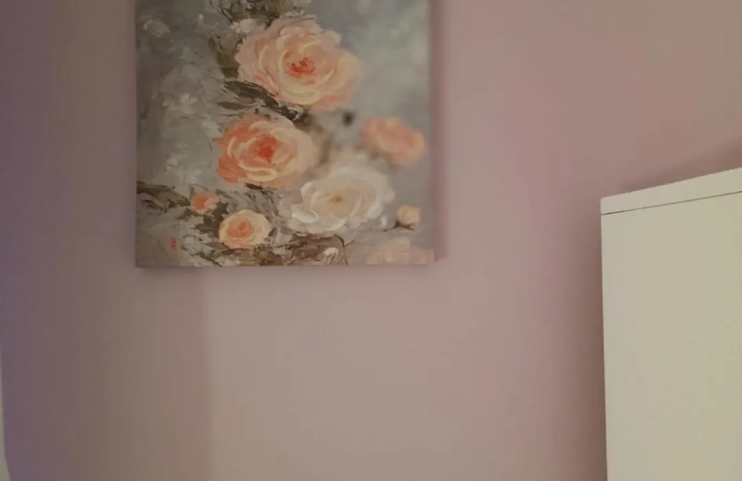 Il sentiero delle fate-1