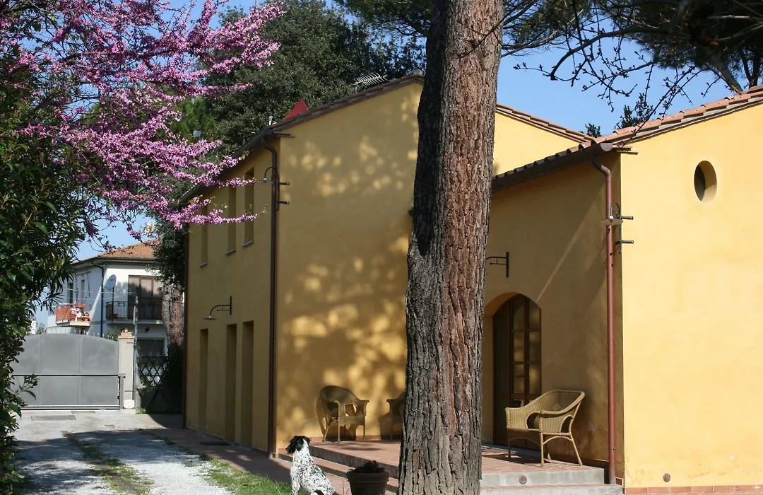 Pisa Holidays-1