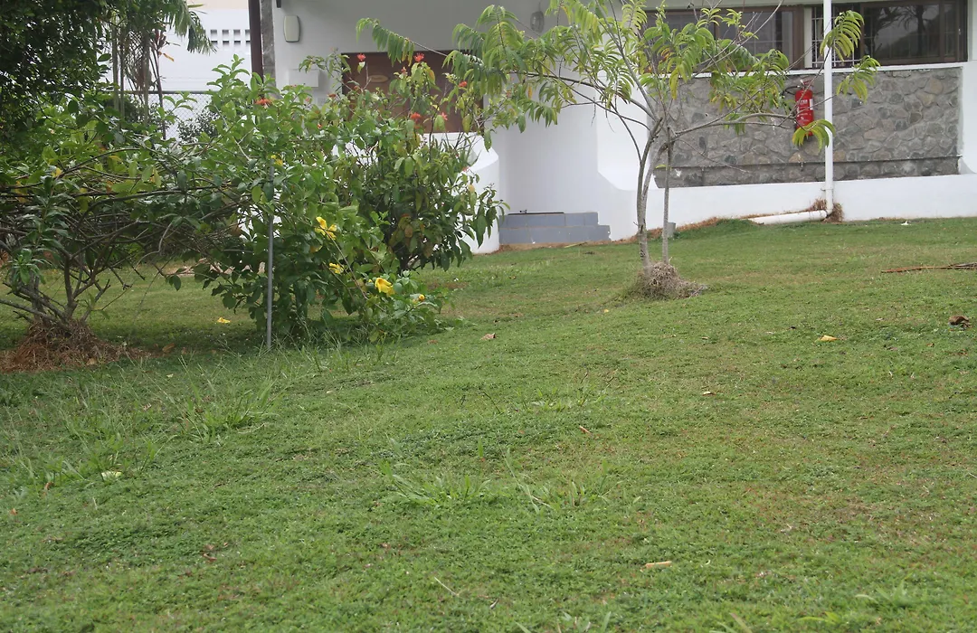 Daniella'S Bungalows-1