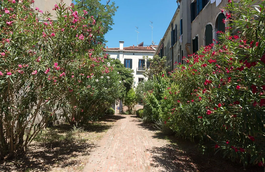 B&B Casa Baseggio-1