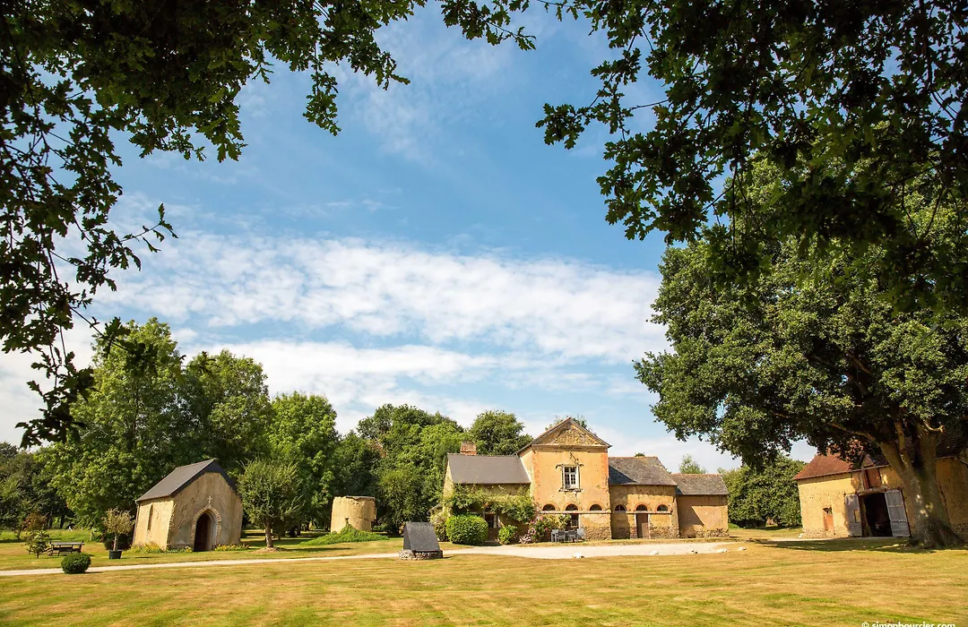 Chateau Du Pin - Teritoria-1