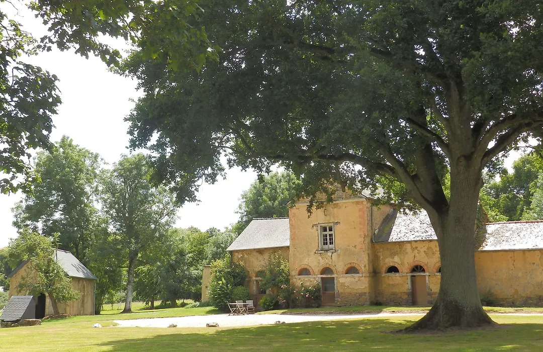Château Du Pin - Les Collectionneurs-1