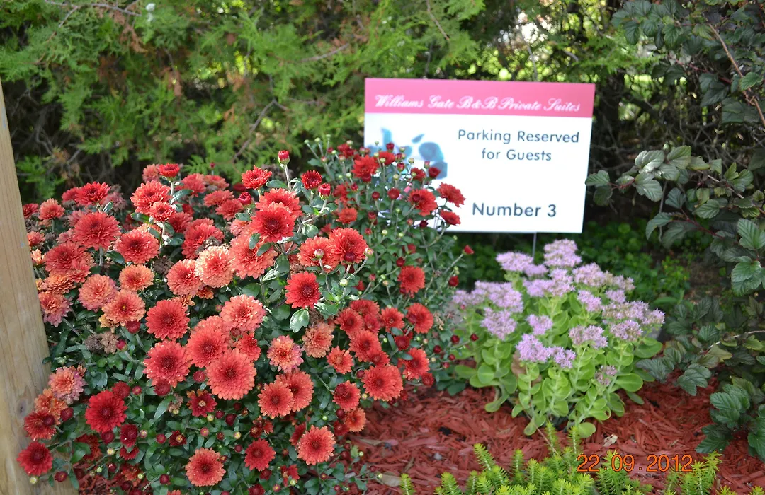 Williams Gate Bed & Breakfast Private Suites-1