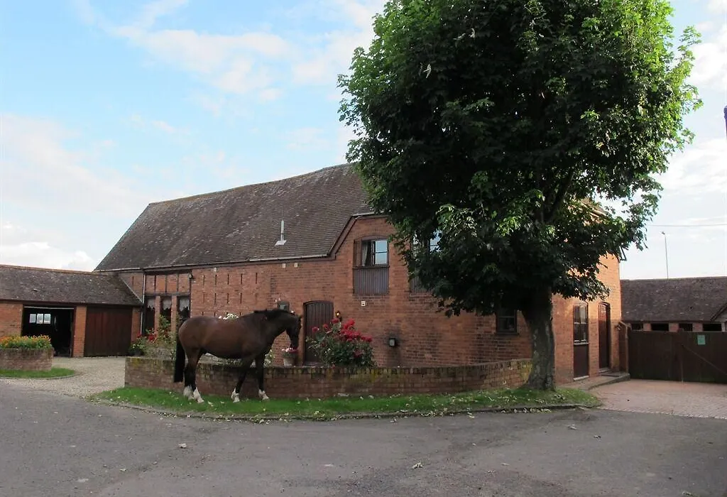 Bluebell Farm-1