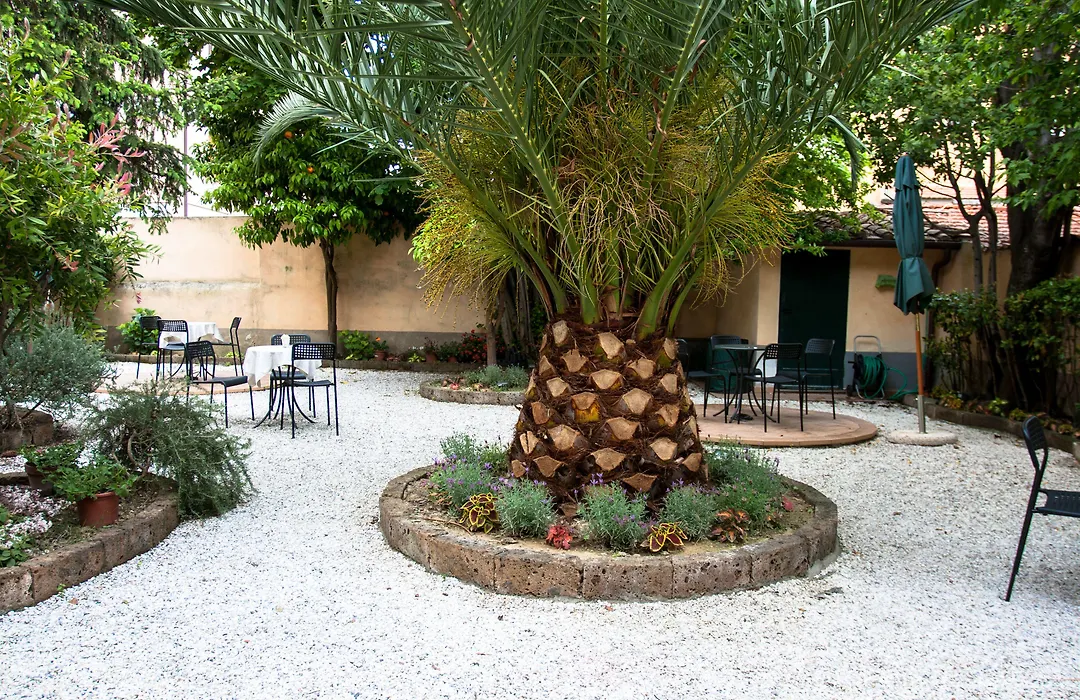 Il Mattino Ha L'Oro In Bocca-1