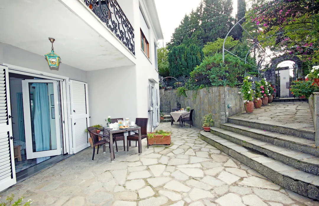 Cavalluccio Marino-1
