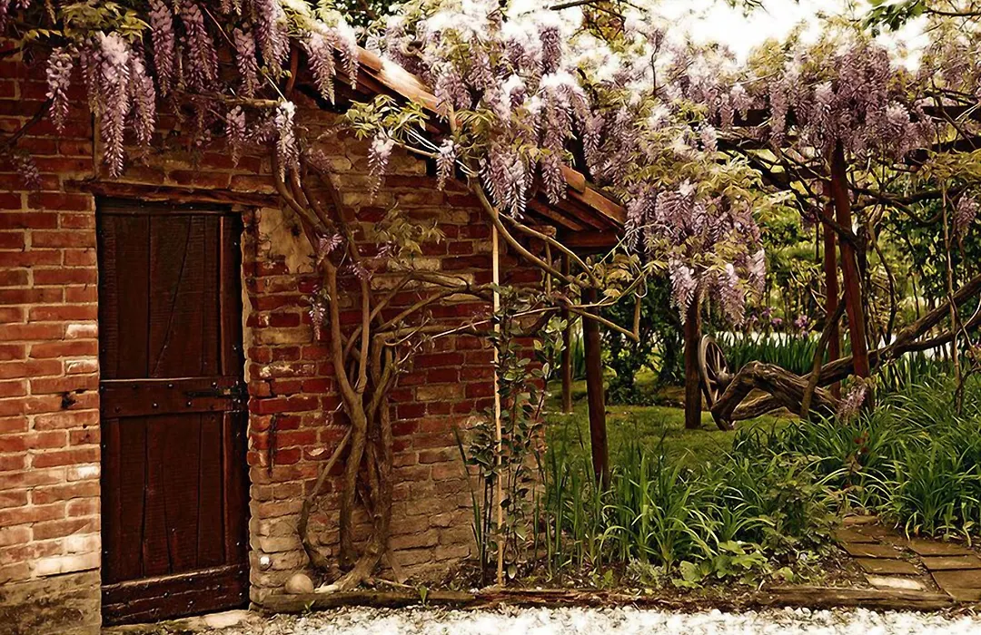 Agriturismo Il Gioco Dell'Oca-1