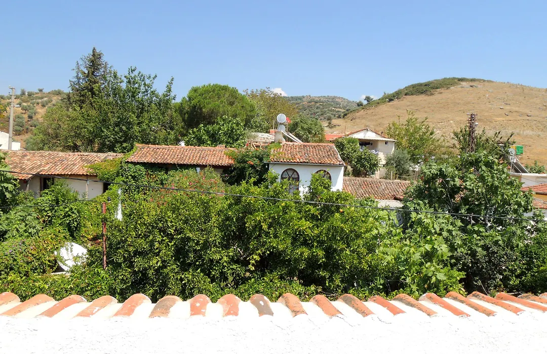 Villa Dreams-1