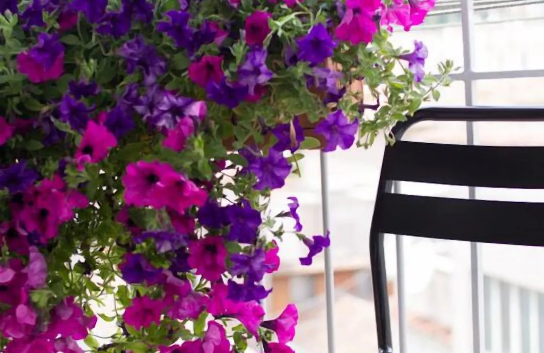 Relais Star Of Trastevere-1